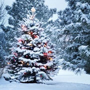 White Christmas