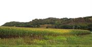 Loess Hills (Iowa)
