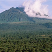 Virunga National Park