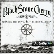 Blame It on the Boom Boom