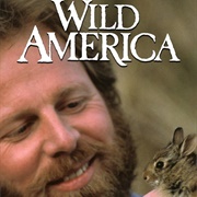 Marty Stouffer&#39;s Wild America