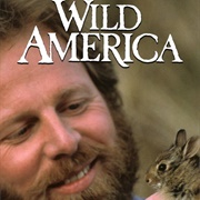 Marty Stouffer's Wild America