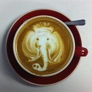 Elephant Latte