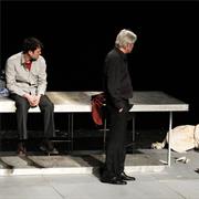 The Goat, or Who Is Sylvia?, Bratislava