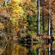 Noxubee National Wildlife Refuge