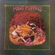 Meat Puppets ‎– Meat Puppets (1982)
