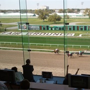 Fair Grounds Race Course, New Orleans, LA