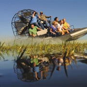 Take an Airboat Through the Everglades