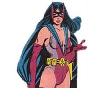 DC  Comics Huntress Helena Wayne