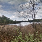 Pinckney State Recreation Area, Michigan