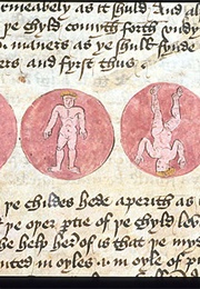 The King of Tars (Anonymous)