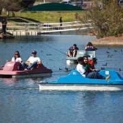 Santee Lakes Petal Boats / Kayaks