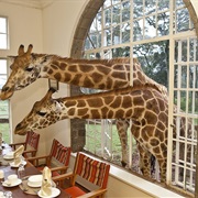 Stay at the Giraffe Manor in Nairobi