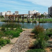 Picnic in the Greenpoint Urban Park