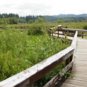 Seaquest State Park, Washington