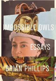 Impossible Owls (Brian Phillips)