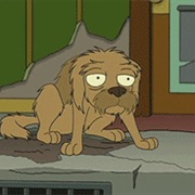 Didn't Cry While Watching Jurassic Bark