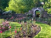 Stop and Smell the Roses at Huntington's Ritter Park