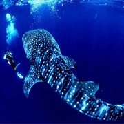 Isla De Cano, Costa Rica