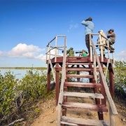 Birdwatching in Gran Parque Natural Montemar Cuba