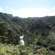 MODIFIED 42ND TRAVERSE