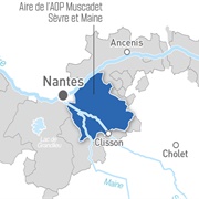 Muscadet Sèvre Et Maine