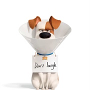 The Secret Life of Pets 2