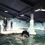 Polaria Aquarium &amp; Museum, Norway