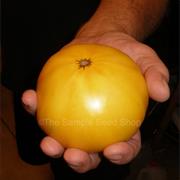 Brandywine, Yellow (Platfoot Strain)