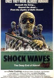 Shock Waves