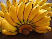 பாளையம்கோட்டை பழம்