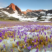 Rila NP / Rila Monastery Nature Park, Bulgaria