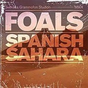 Spanish Sahara - Foals