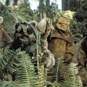 Ewok