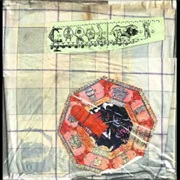 Caroliner Rainbow Susans and Bruisins - The Cooking Stove Beast