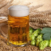 Barley Beer