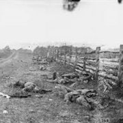 The Dead of Antietam