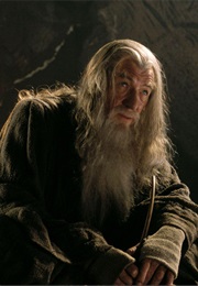 Ian McKellen - The Lord of the Rings: The Fellowship of the Ring (2001)