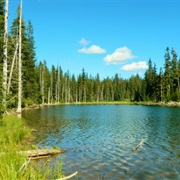 Horseshoe Lake State Park, Illinois