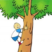 Climbed a Tree