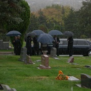 "Lover, You Should've Come Over" - Jeff Buckley