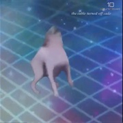 Dance Till You're Dead