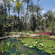 Huerto Del Cura, Elche