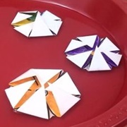 Flower Blooming Experiment