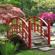 The Hague Japanese Garden