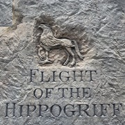 Flight of the Hippogriff