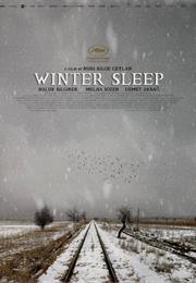 Winter Sleep