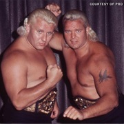 The Valiant Brothers (Jimmy Valiant & Johnny Valiant) '96