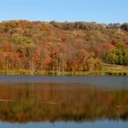 Maplewood State Park, Minnesota