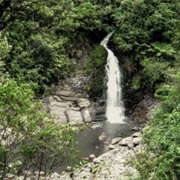 Upper Huia Reservoir Walk - Medium (4 Hours 30 Minutes)